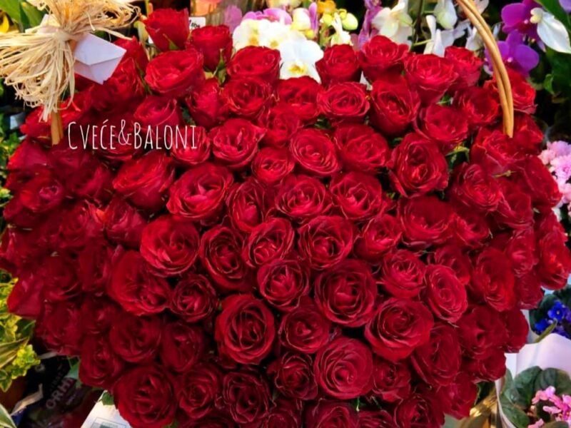 Cveće i Baloni Beograd