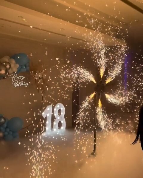 Special Night - efekti za proslave