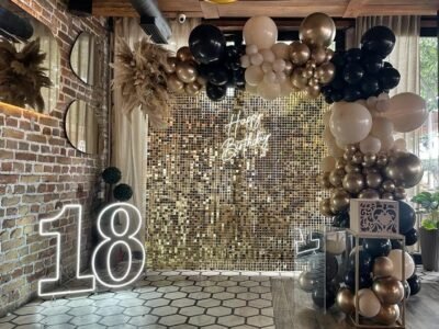 Baloni House of Party - Kuća Zabave